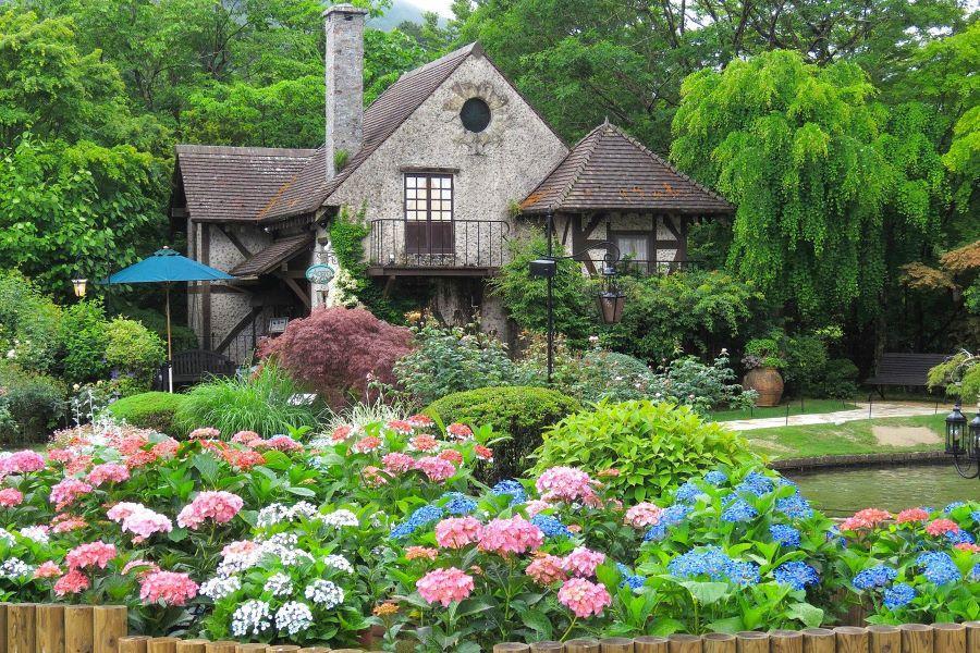 【山居小江戶】玻璃之森、安中橋、纜車、白鳥船、東京鐵塔、螃蟹、溫泉6日