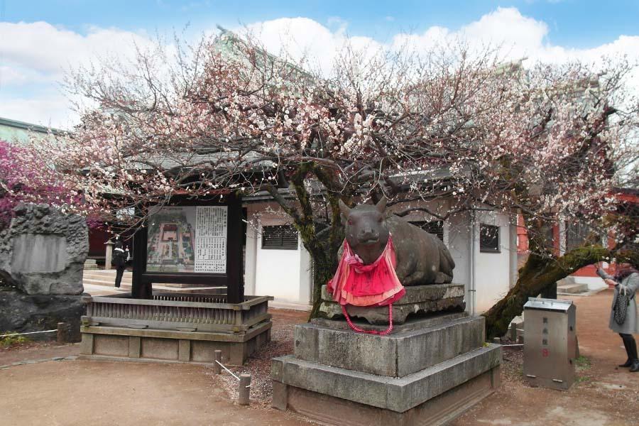 【超值丹後】大阪京都天橋立 View Land伊根灣遊船嵐山天滿宮5日