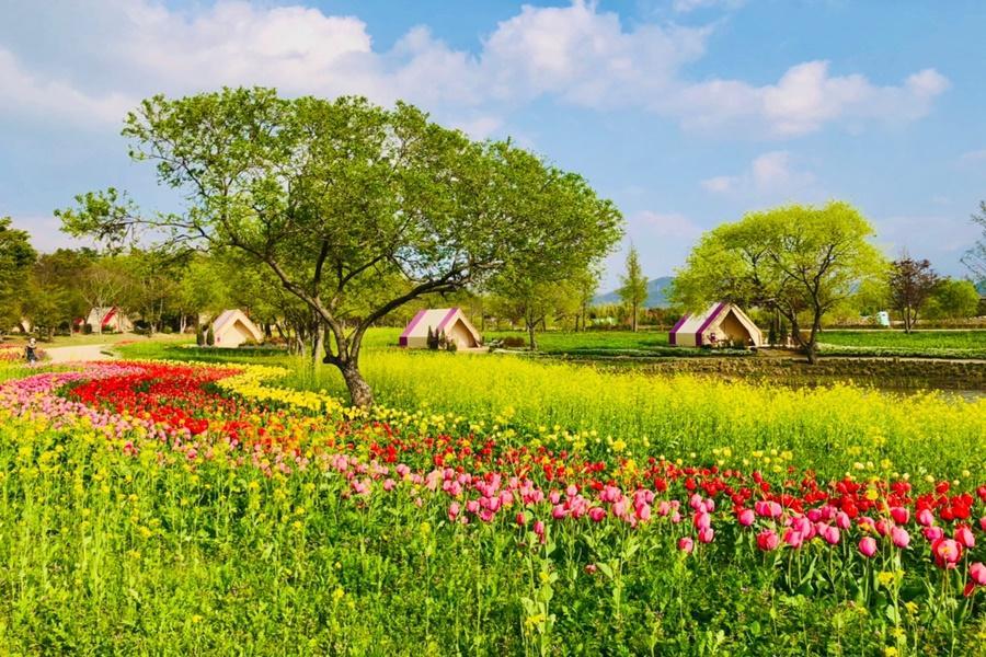 【不一樣釜山深度之旅】麗水梧桐島、順天園藝濕地、古城巡禮、絕美南海岸