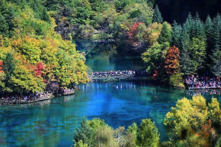 【九寨水境】九寨黃龍、船遊樂山、東坡水街、熊貓鶴鳴茶社、悅椿8日