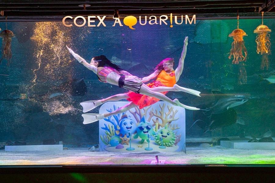 【夢幻樂天】樂天+水族館+美人魚秀、昌慶宮、韓式大頭貼、塗鴉秀5日