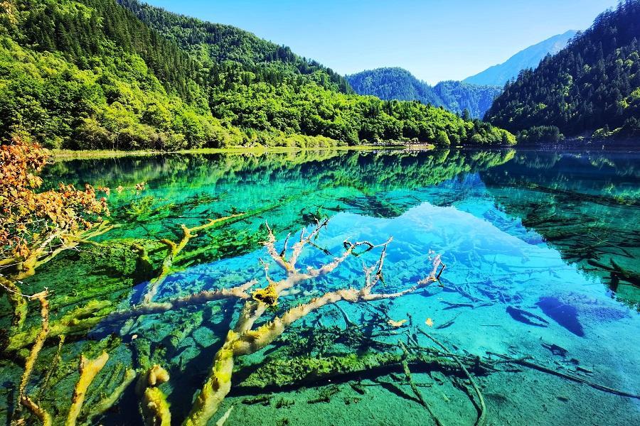 九寨溝牟尼溝、熊貓基地、樂山大佛、都江堰藍眼淚、川菜博物館DIY8日