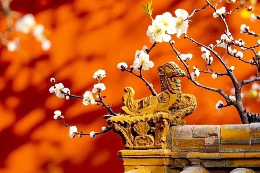 【搭乘高鐵穿越千年雙帝都】北京皇城春景、西安古都花事、古宴大秦小宴八日