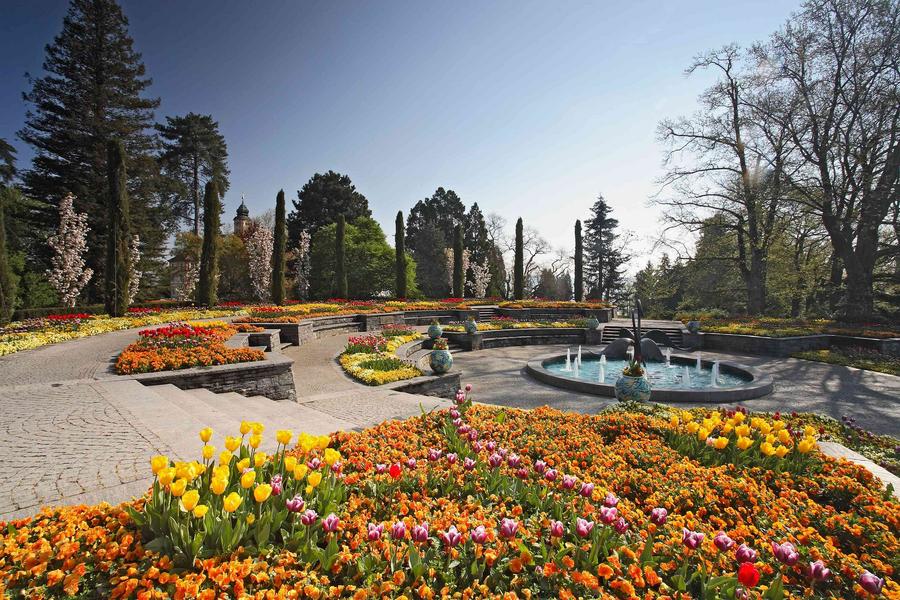 花賞德法～百花美瑙島、萊茵河遊船、鮮花小鎮、新天鵝堡、楚格峰10日