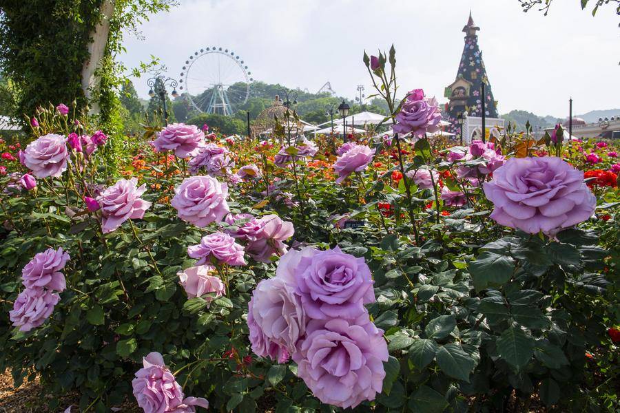 夏日韓國～愛寶樂園.韓國威尼斯+江華故事小路.韓服體驗.美食五日