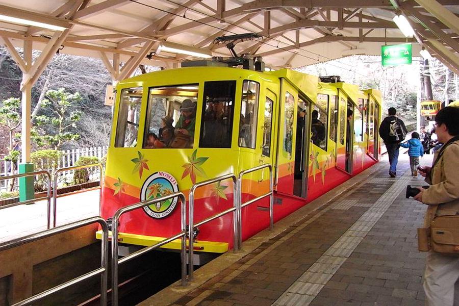 【趣東京走走】高尾山、表參道之丘、深大寺、明治神宮、燒烤放題、輕旅5日