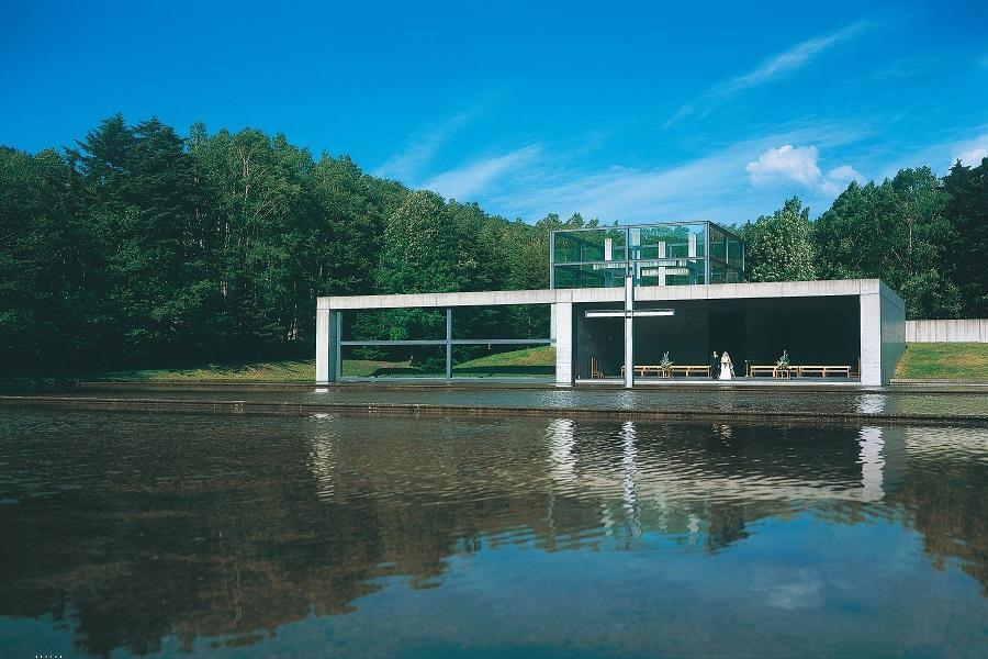 【典藏雙星】函進千出、星野度假、函館夜景、富田農場、無自理餐、星宇航空