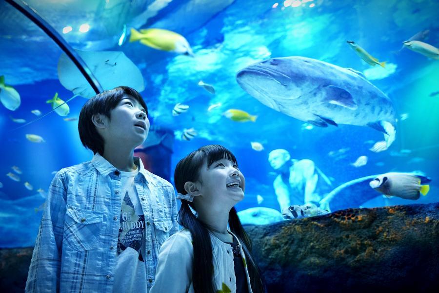 限時限量、小松童心遊｜恐龍博物館、樂高樂園、甜蝦吃到飽、兔兔合掌村5日