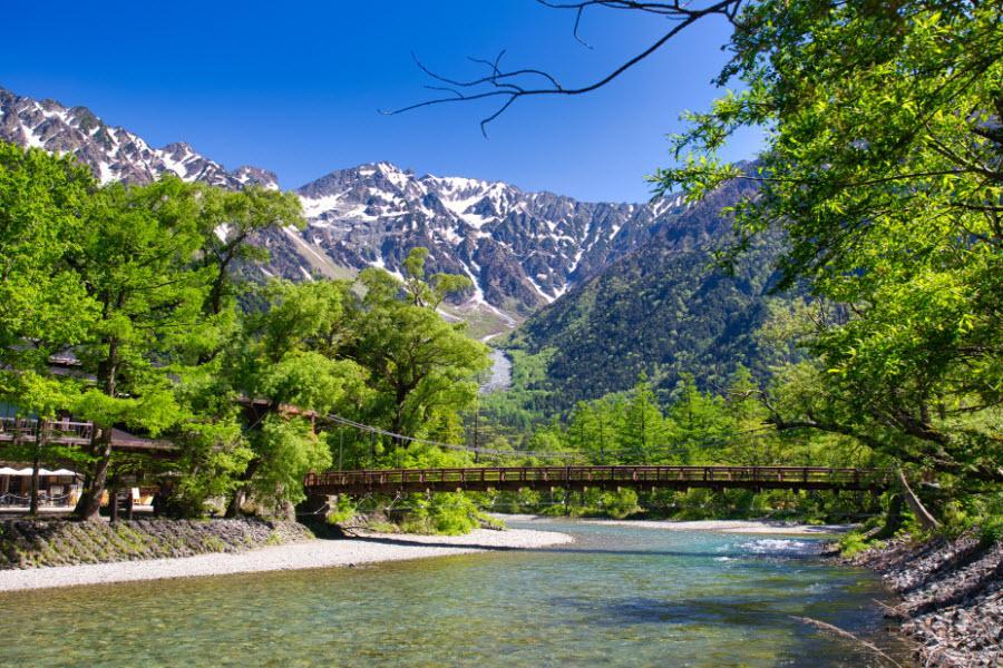 【漫春立山】春芝櫻、上高地、紫藤花、合掌村、高山古街、吃螃蟹、溫泉6日