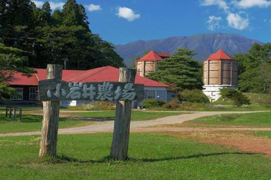 限量青森、綠色親子回憶｜武家冒險趣、鄉間鐵道遊、香濃冰淇淋、奈良犬5日