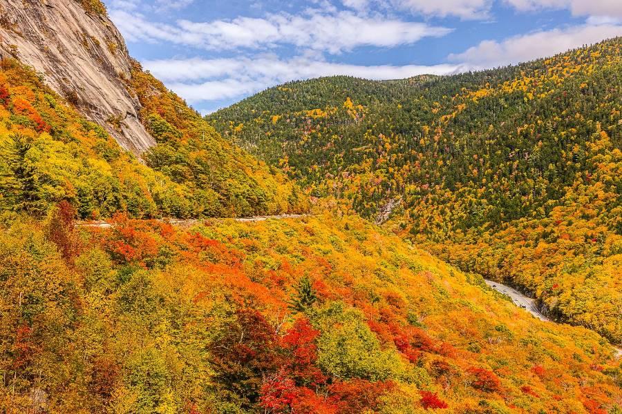 【楓情美加東】藍寶石公主～楓紅華章典藏15日(團體)