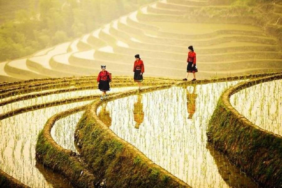 【超值桂林】燒烤海鮮自助餐、龍脊梯田、三秀VIP席、五星美居酒店8日