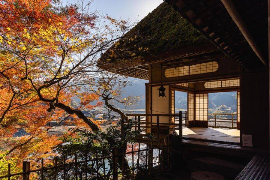 【楓選四國岡山】保證入住‧紅葉綴名城‧楓禪臥龍‧尾道岡山‧採果遊船7日