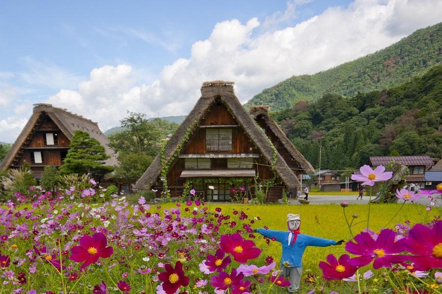 【立山看雲去】合掌村、庄川峽、上高地、兼六園、松本城、花月堂、溫泉6日