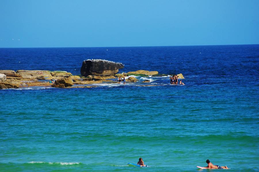 【公主遊輪】皇冠公主、南島起源、夏威夷斐濟、大溪地29日