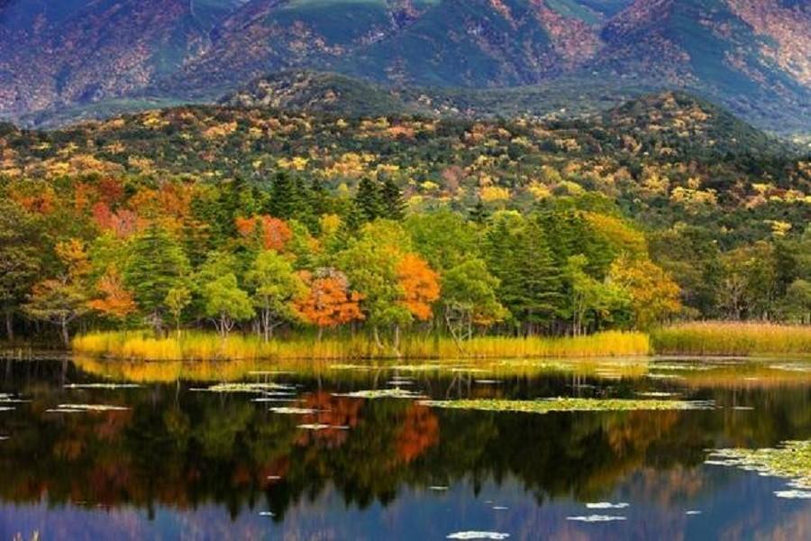 【北海道秘境】知床半島.五湖散步道.海上遊船.釧路溼原.黑岳纜車6日