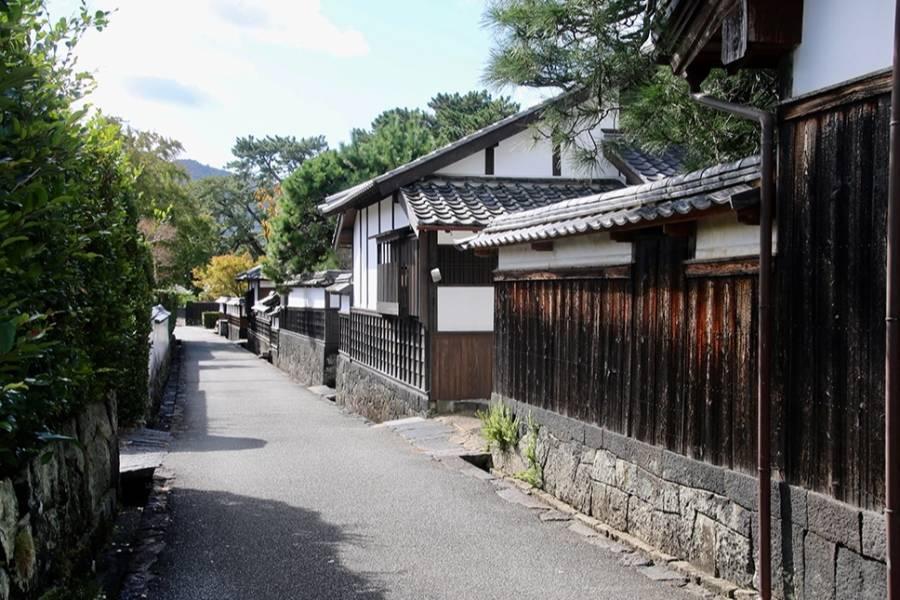 【龐洛遊輪】法式優雅奢華，日本侘寂美學，櫻漾秘境，陽春瓊筵7日C1