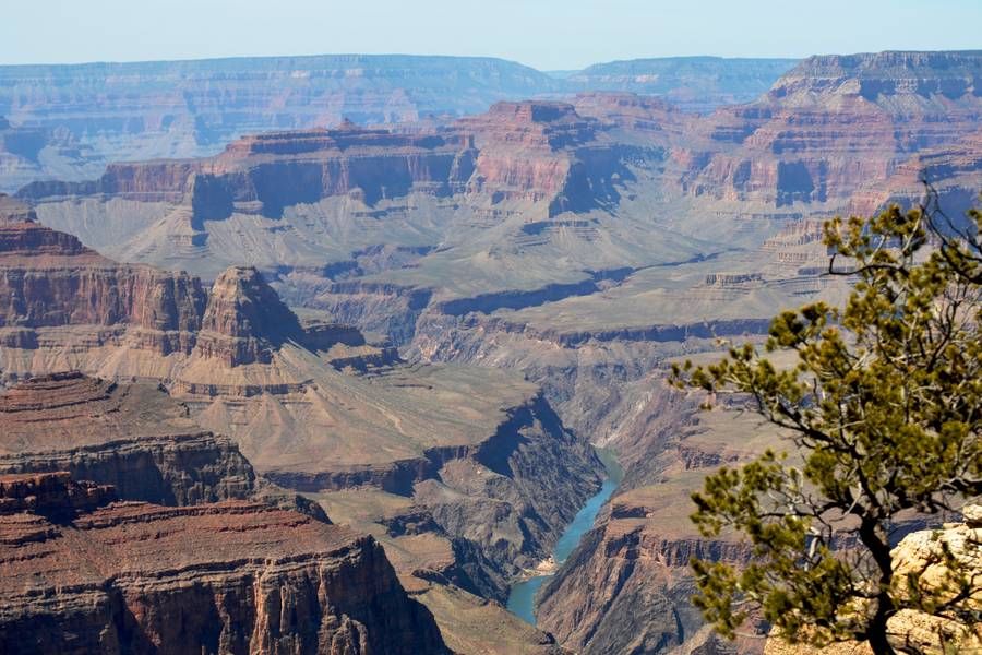 玩美加族〜美西新概念123+MLB球賽 8日