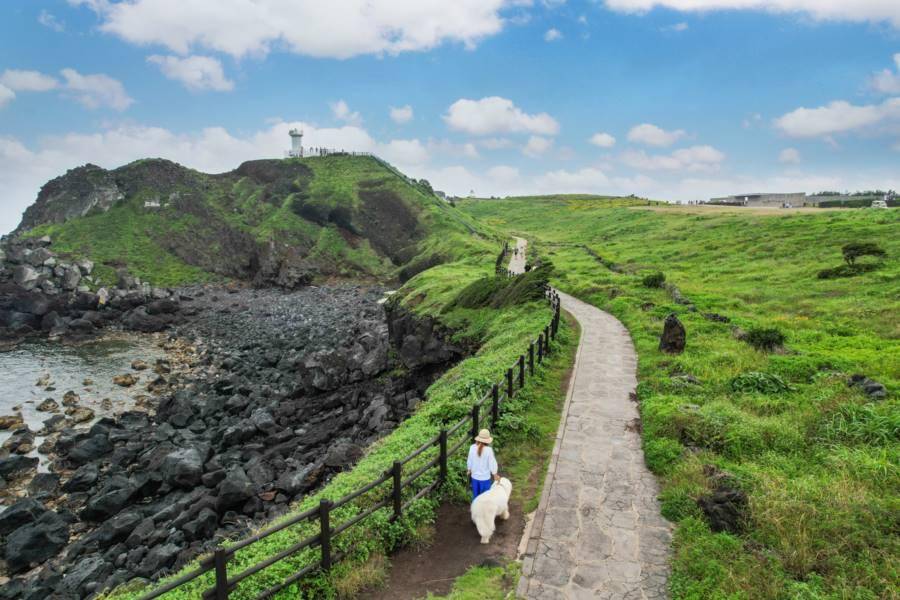 【樂遊濟】城邑民俗村、涉地可支、羊駝樂園、跆拳武藝秀、東門市場4日