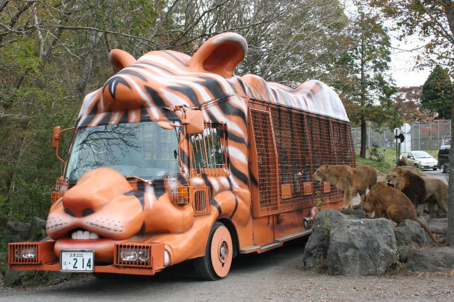 【精選關東】雙迪士尼、叢林巴士、遊湖茶會、浪漫横濱、保住星野三連泊六日