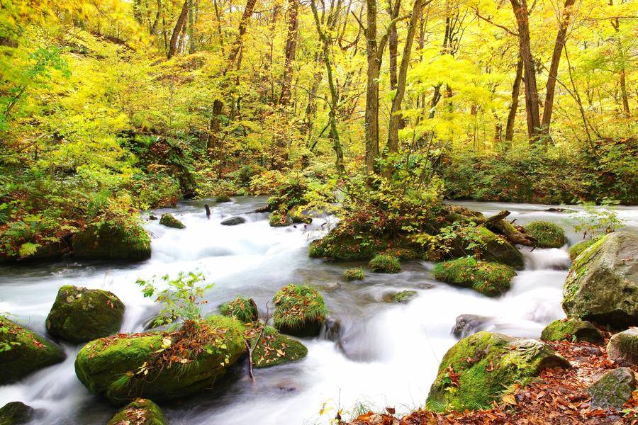 【青森秋迷情】嚴美溪、十和田、松島船、五色沼、大內宿、新幹線、溫泉6日