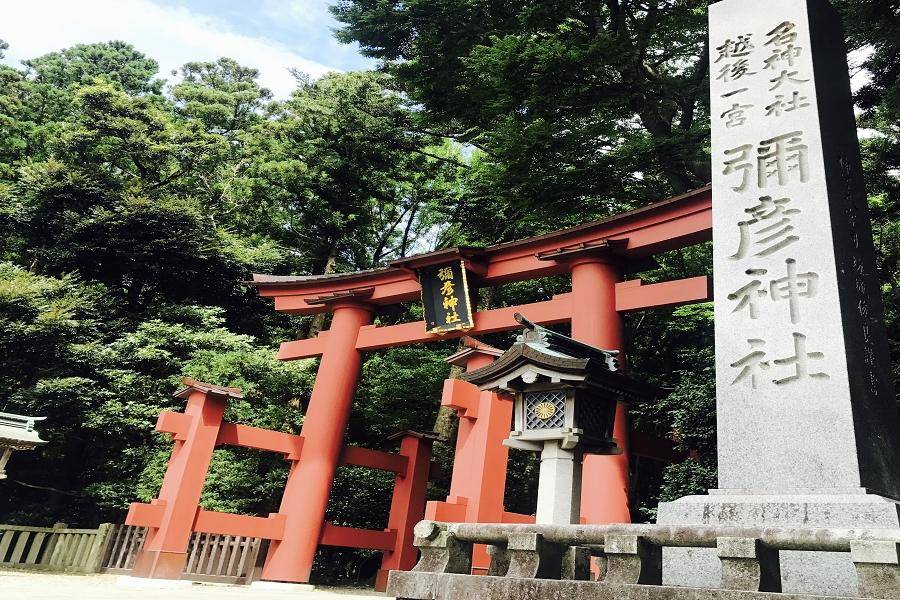 限量越後傳奇｜加茂水族館、彌彥神社、季節採果、會津鶴之城、仙台新潟5日