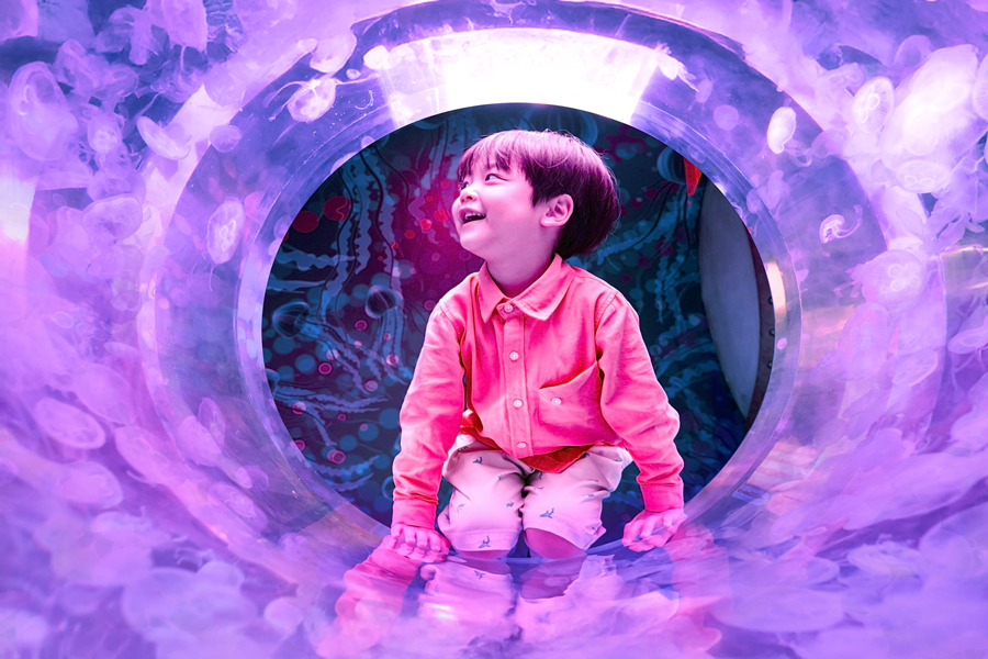 韓國萬元搶購~COEX水族館.夢幻花園博覽會.南山公園.汗蒸幕4日