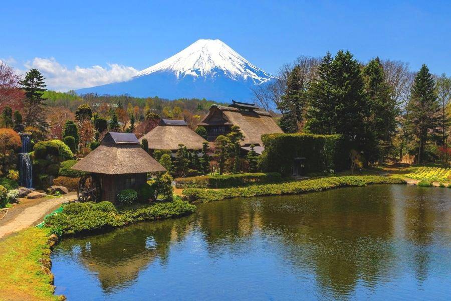 【日本純植蔬食饗宴】溫泉‧富士山‧箱根海盜船‧大湧谷‧晴空塔‧淺草5日