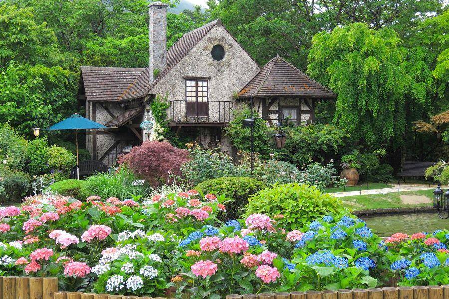 【山居小江戶】玻璃之森、安中橋、纜車、白鳥船、東京鐵塔、螃蟹、溫泉6日