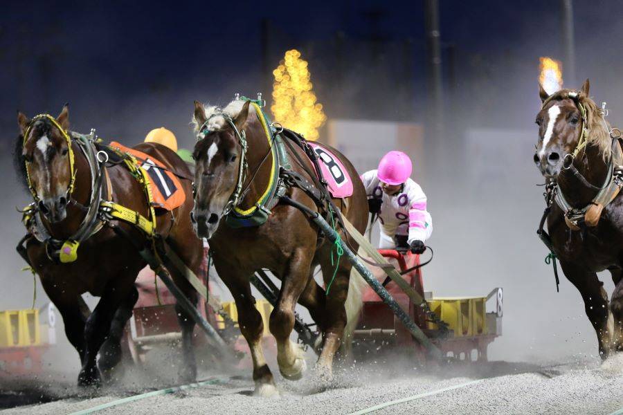 【北海道邂逅賽馬】輓曳賽馬.小樽運河貢多啦.LeTAO下午茶6日