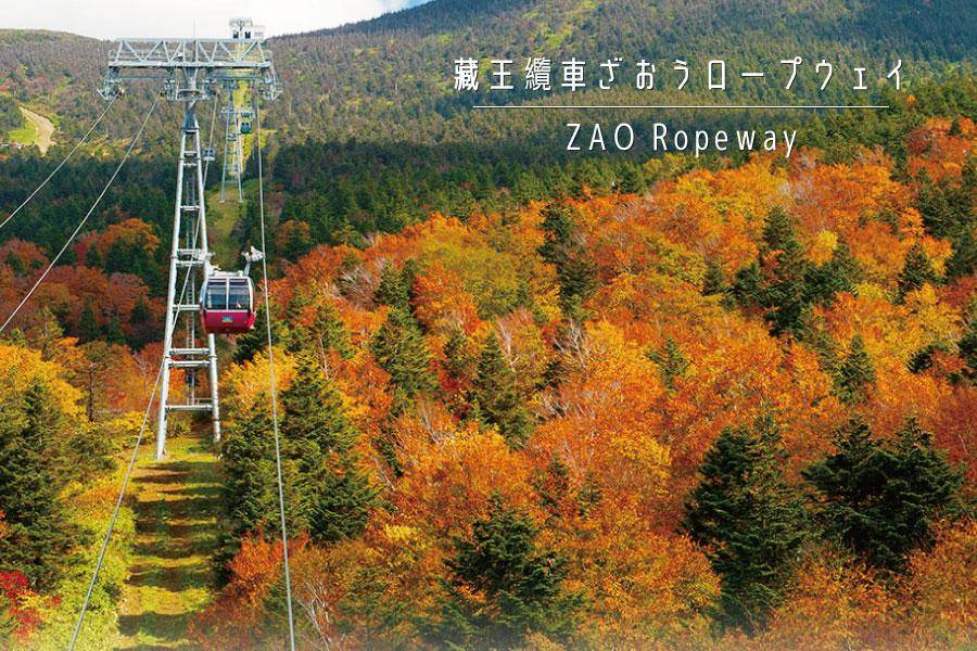 限量東北、追楓日記｜秋染奧入瀨、俯瞰藏王紅、銀山時光旅、保住花卷5日