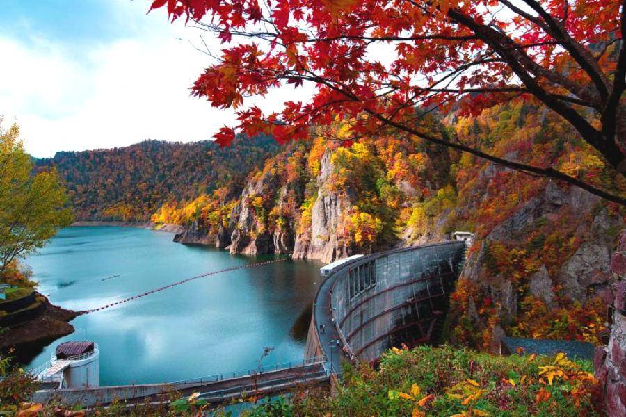 SL【北海道森情時光】三國峠樹海.由仁花園掃帚草.黑岳纜車.彩燈節6日