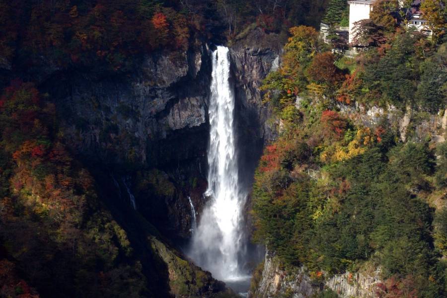 【典藏關東、秋日行旅】日光楓紅、波波草、輕井澤、鬼怒川、teamLAB