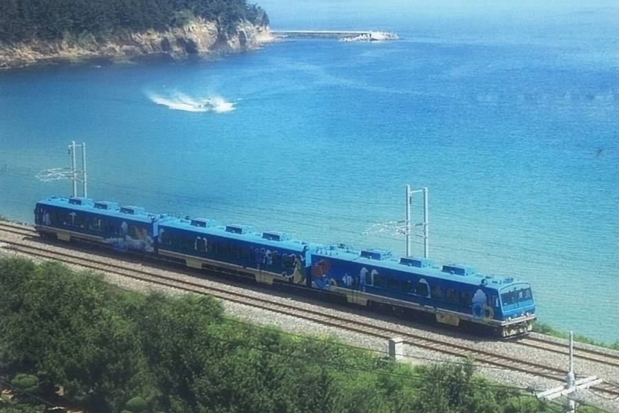 【楓雪嶽】新興寺、三岳山纜車、濱海鐵道之旅、船橋莊、古宮韓服、明洞5日