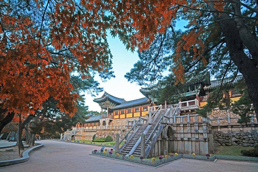 台中星宇【精選六日楓紅釜邱慶】金剛公園、洪流洞溪谷、梵魚寺、三晚華美達