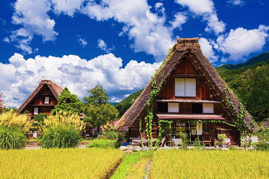 【森秋立山】紅葉季、上高地、庄川峽船、兼六園、合掌村、松本城、溫泉6日