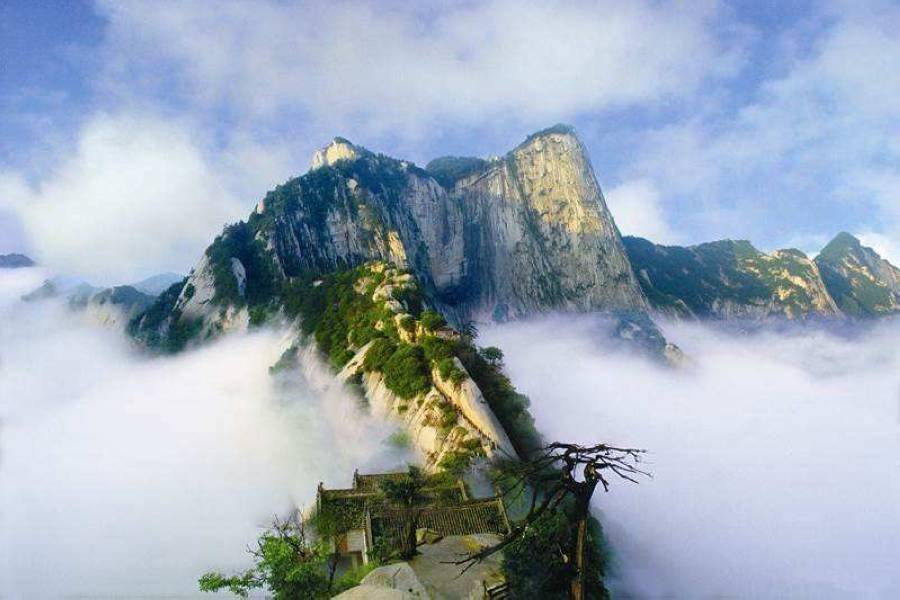 西安~兵馬俑秦始皇陵華山駝鈴傳奇秀6+2天【三排椅.無購物.無自費】