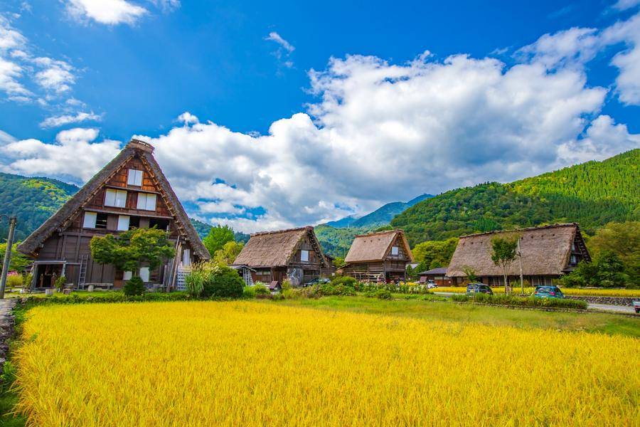 【立山森秋楓】上高地、庄川峽、兼六園、合掌村、松本城、花月堂、溫泉6日