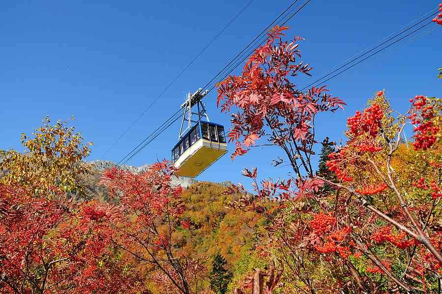 【精選立山紅葉秘境】上高地、合掌村、兼六園、永平寺、彥根城、雙溫泉五日