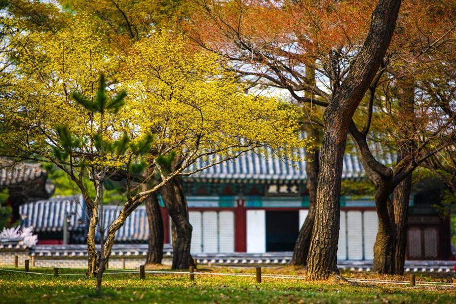 【韓風慢旅】一日自由行、五星汗蒸幕、京仁天空步道、稻花農夫體驗5日TW