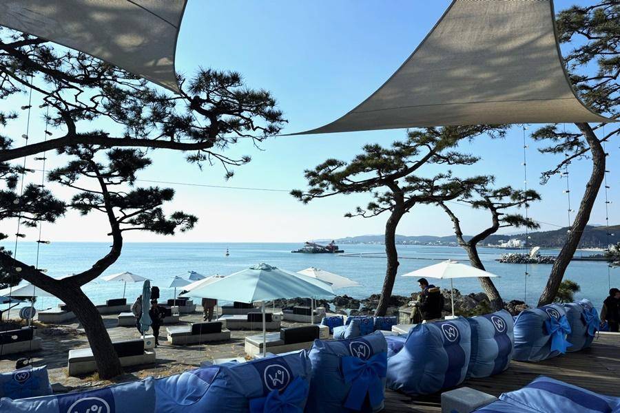 【悠遊釜山】一日自由行、佛國寺、藍絲帶海景咖啡、海濱列車、甘川韓服5日