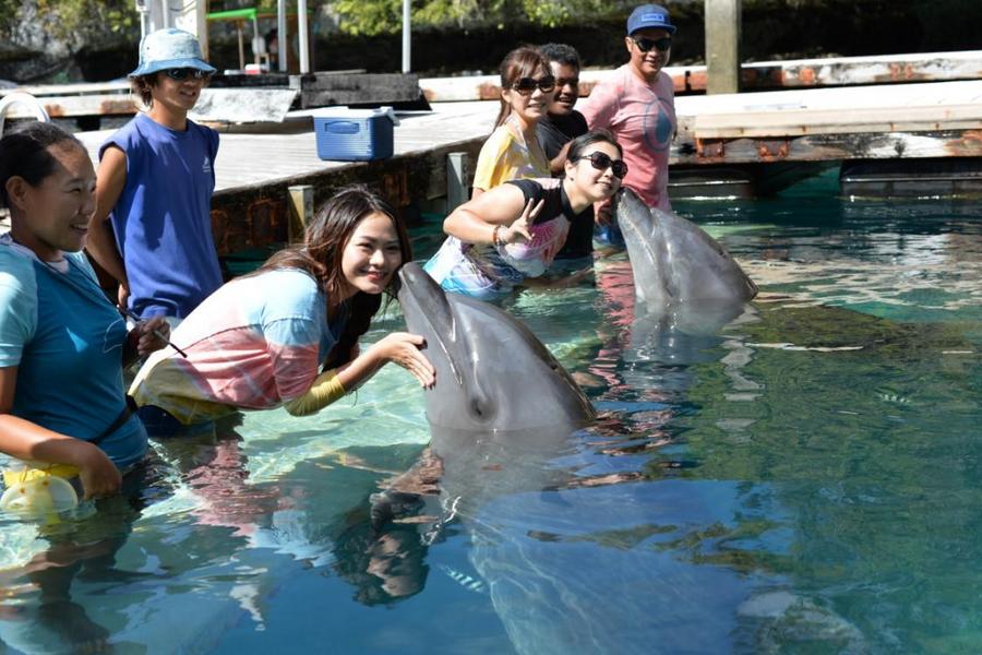 【頂級帛琉】北島天使大瀑布、夜釣、大斷層、牛奶湖、海豚灣、水母湖5日