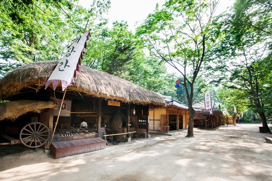 【首爾包車旅遊】穿越時空古裝體驗趣~韓國民俗村+玻璃屋咖啡館+樂天超市4日(送仁川機場-首爾市區飯店來回接送、一日包車遊,4人成行,可續住延回,泰國航空)