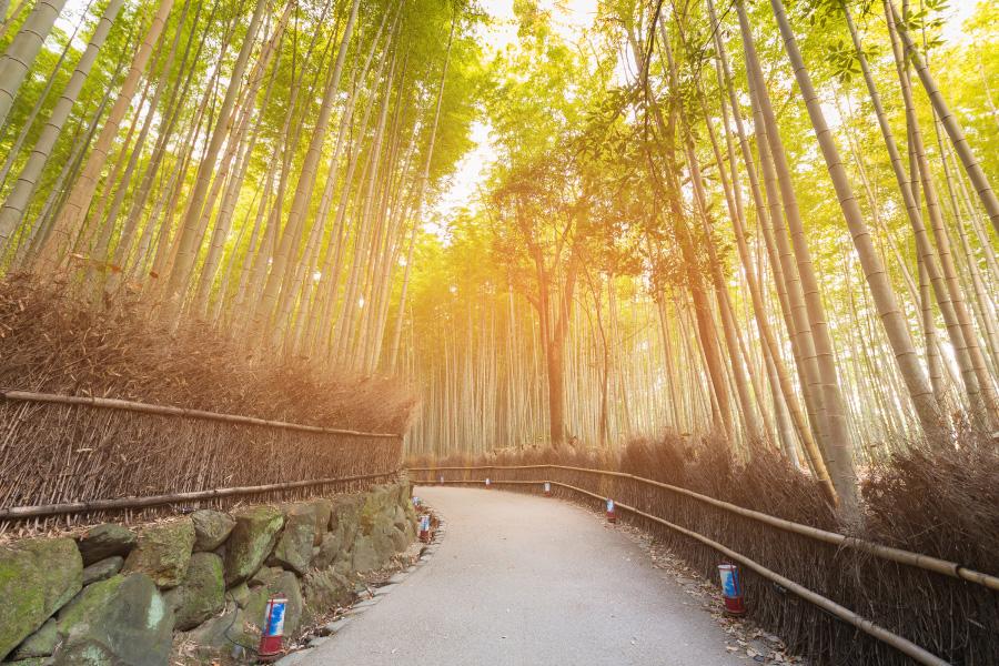 【海之京都天橋立小旅行】京都嵐山溫泉花傳抄酒店半自由行4日(可續住延回-中華航空/長榮航空)