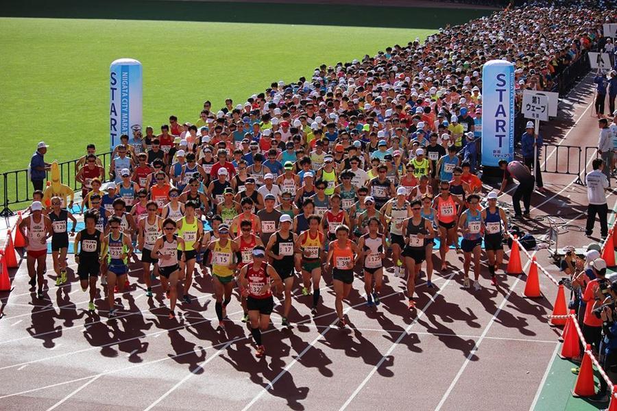 【主題旅遊】2024年第40屆新潟城市馬拉松自由行4日 ※不含機票