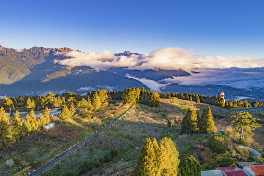 山嶺皚雪賞春梅、武陵梅櫻雪爭春、福壽山松廬梅景、入住武陵賓館二日