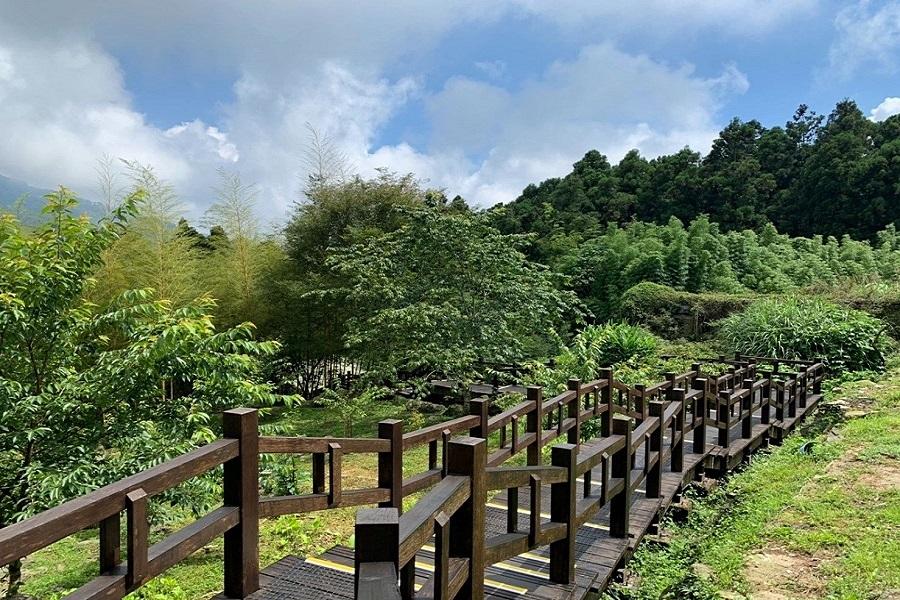 【台中出發】進入時光隧道奮起湖一日遊