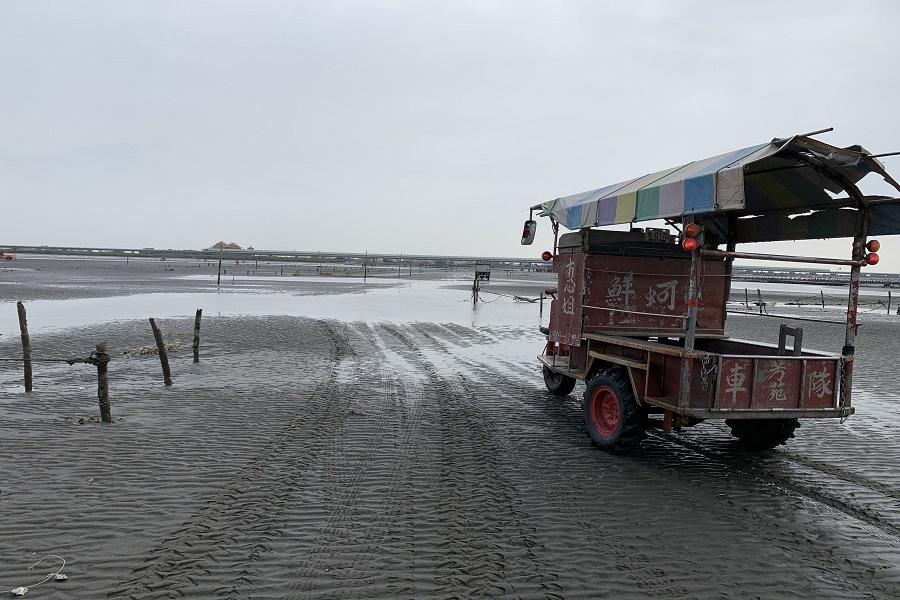 【彰化】鹿港老街、王功燈塔、芳苑海牛體驗、台塑生醫健康悠活館 1日