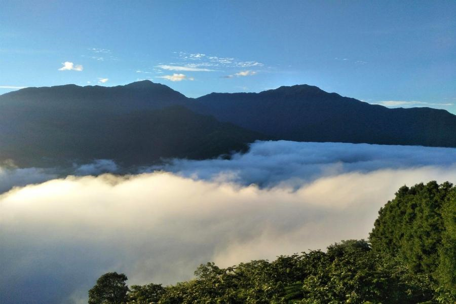 【台中出發】探訪全台最美雲鄉武界一日遊