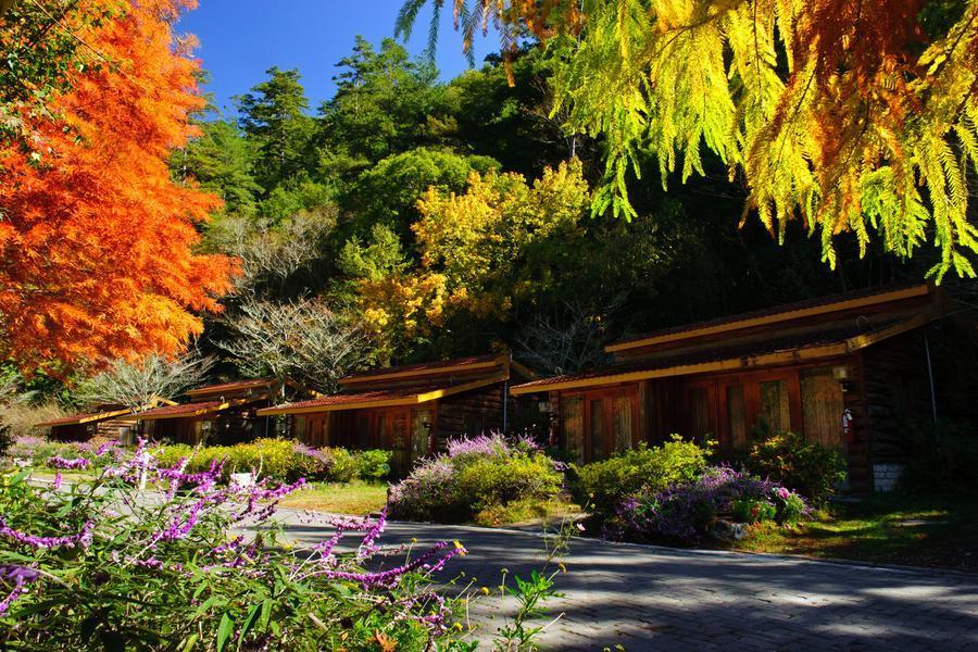 楓紅丹霞、入住福壽山新館、醉美松廬、秋色武陵北谷、雪山伴繁星二日